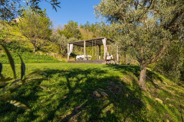 Vakantiehuis le Marche | Casetta Olive | Portico tussen olijven
