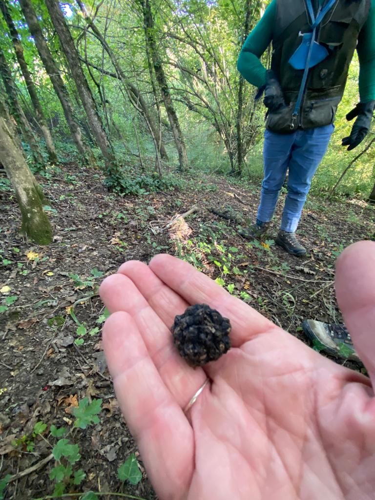 Truffels zoeken in Le Marche | Vakantiehuis Le Marche