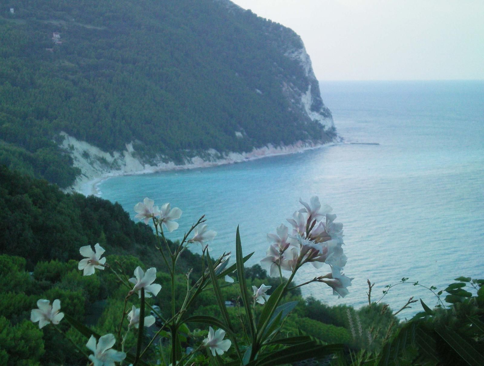 uitzicht op spiaggia di san michele